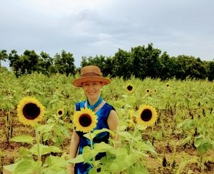 Heather in a sunflower field